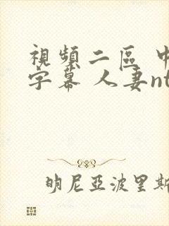 视频二区 中文字幕 人妻ntr