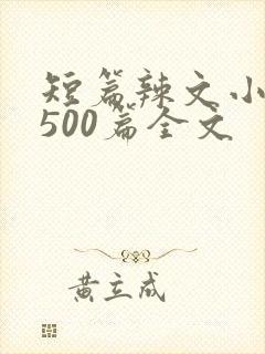 短篇辣文小说集500篇全文封面
