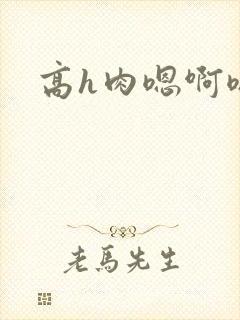 高h肉嗯啊嗯啊