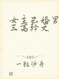 女主已婚男主小三高干文封面