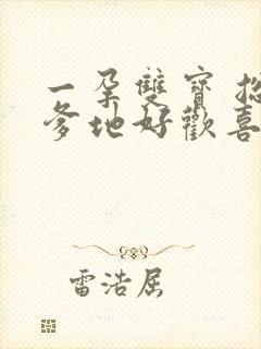 一孕双宝 总裁爹地好欢喜