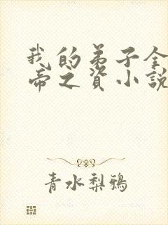 我的弟子全是大帝之资小说免费完整版封面