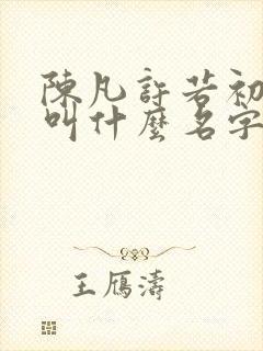 陈凡许若初小说叫什么名字