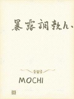 暴露调教h小说