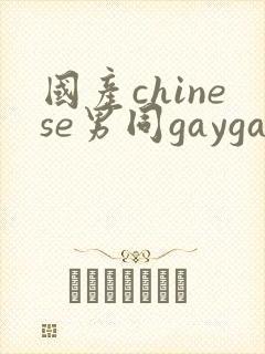 国产chinese男同gaygay网站