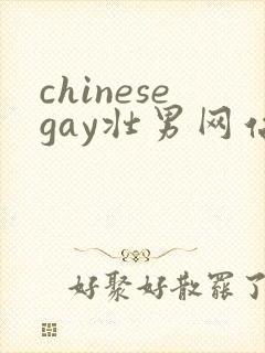 chinesegay壮男网站gvman