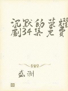 沉默的荣耀电视剧34集免费观看封面