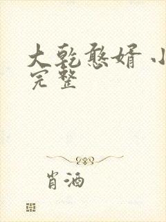 大乾憨婿 小说完整
