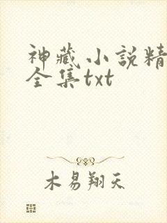 神藏小说精校版全集txt