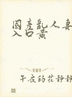 国产乱人妻精品入口黄