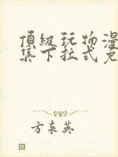顶级玩物漫画全集下拉式免费观看