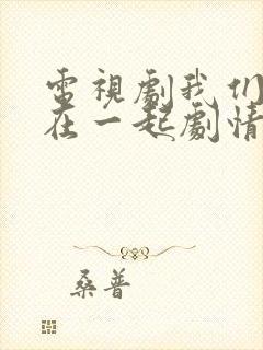 电视剧我们好好在一起剧情介绍封面