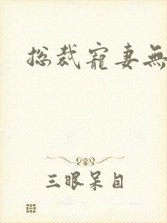 总裁宠妻无下限