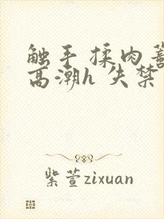 触手 揉肉蒂 高潮h 失禁