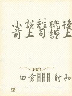 小说离职后我被前上司缠上免费阅读全文