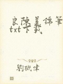 良陈美锦笔趣阁txt下载