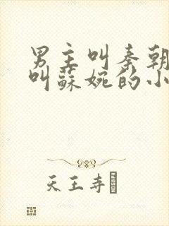 男主叫秦朝女主叫苏婉的小说名字