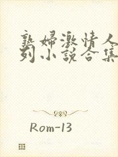 熟妇激情人妻系列小说合集