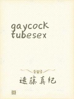 gaycocktubesex