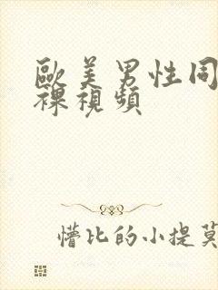 欧美男性同性恋裸视频