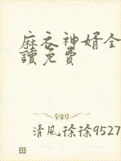 麻衣神婿全文阅读免费