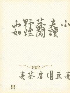 山野莽夫小说柳如烟阅读