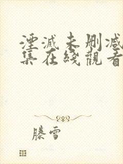 湮灭未删减版全集在线观看封面