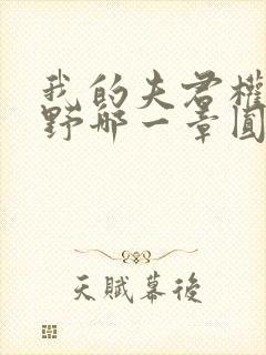 我的夫君权倾朝野哪一章圆房