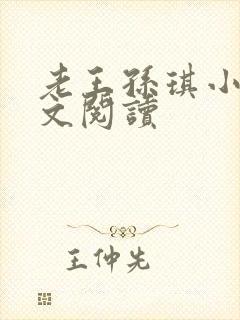 老王孙琪小说全文阅读