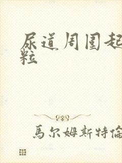 尿道周围起小肉粒封面