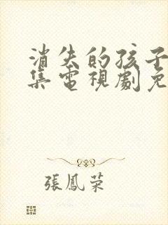消失的孩子12集电视剧免费观看