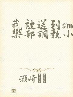 我被送到sm俱乐部调教小说封面