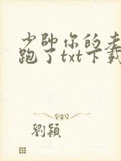 少帅你的老婆又跑了txt下载封面