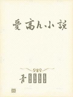 爱高h小说