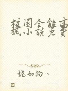 校园全能高手季枫小说免费下载