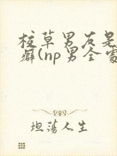 校草男友是绿帽癖(np男全处封面
