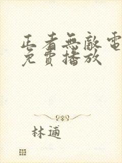 正者无敌电视剧免费播放