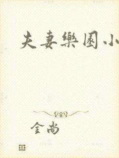 夫妻乐园小说