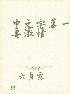 中文字幕一区人妻激情