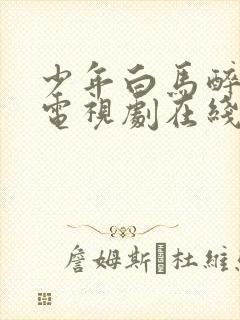 少年白马醉春风电视剧在线观看23封面
