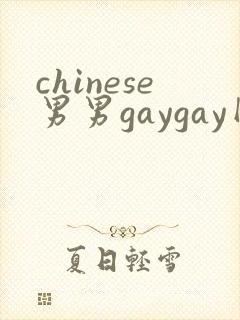 chinese男男gaygay网