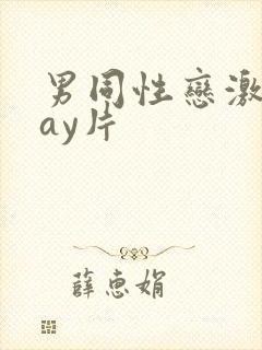 男同性恋激情gay片