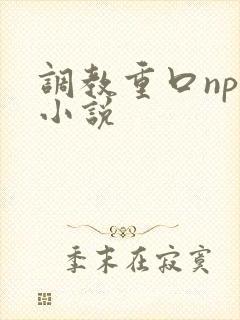 调教重口np文小说