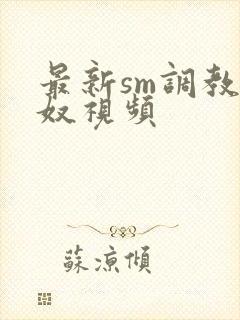 最新sm调教男奴视频