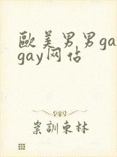 欧美男男gaygay网站封面