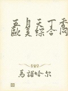 五月天丁香婷婷欧美综合网