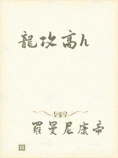 龙攻高h