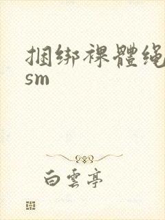 捆绑裸体绳男奴sm封面