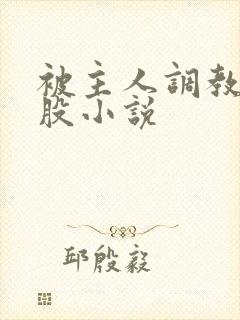 被主人调教打屁股小说