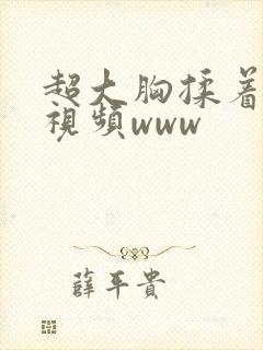 超大胸揉着好爽视频www